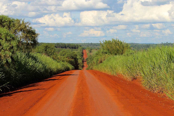 Route du Maté : Le road trip au nord de l'Argentine