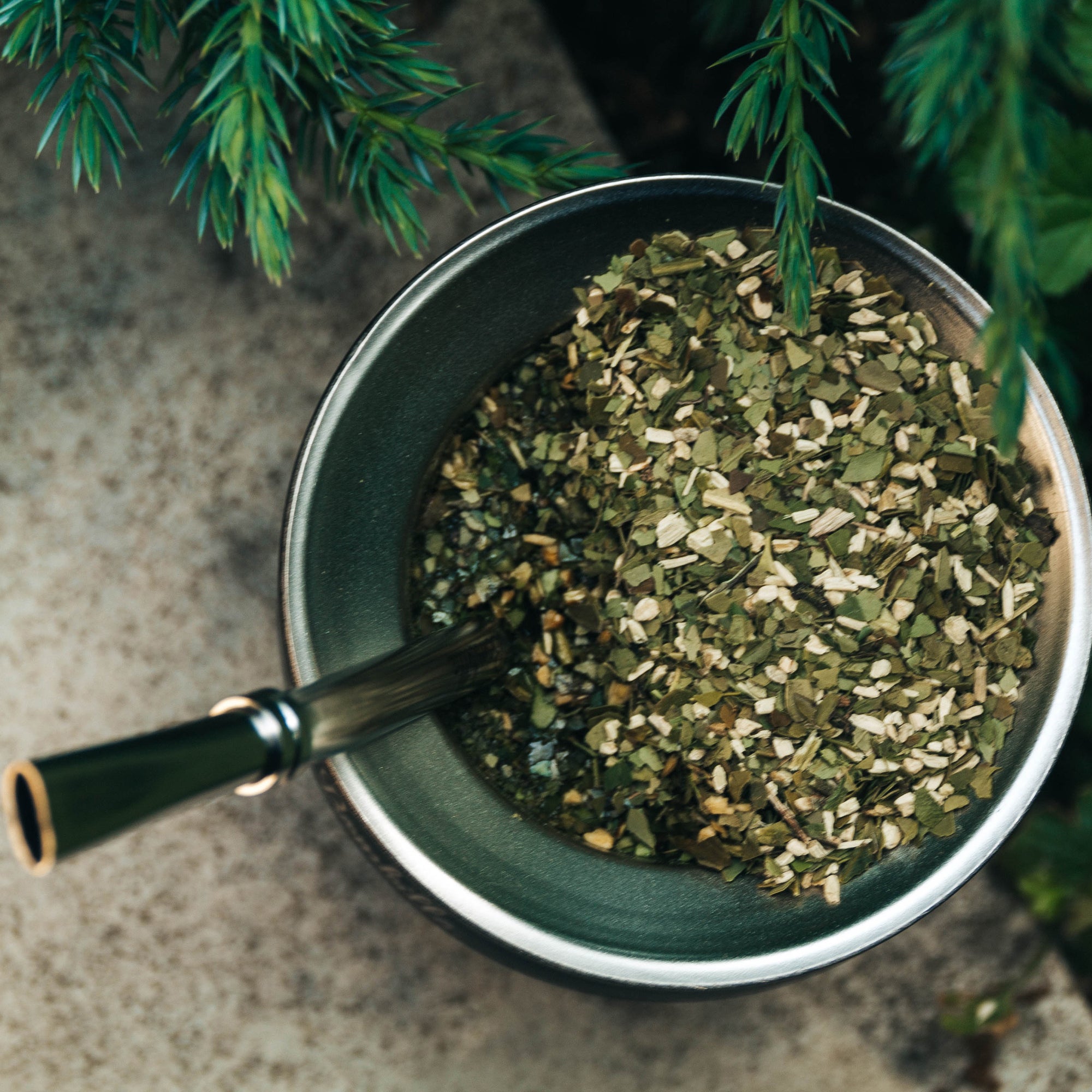 Maté vert au goût équilibré, à mi-chemin entre le thé vert et le café ; Yerba mate bio au goût unique