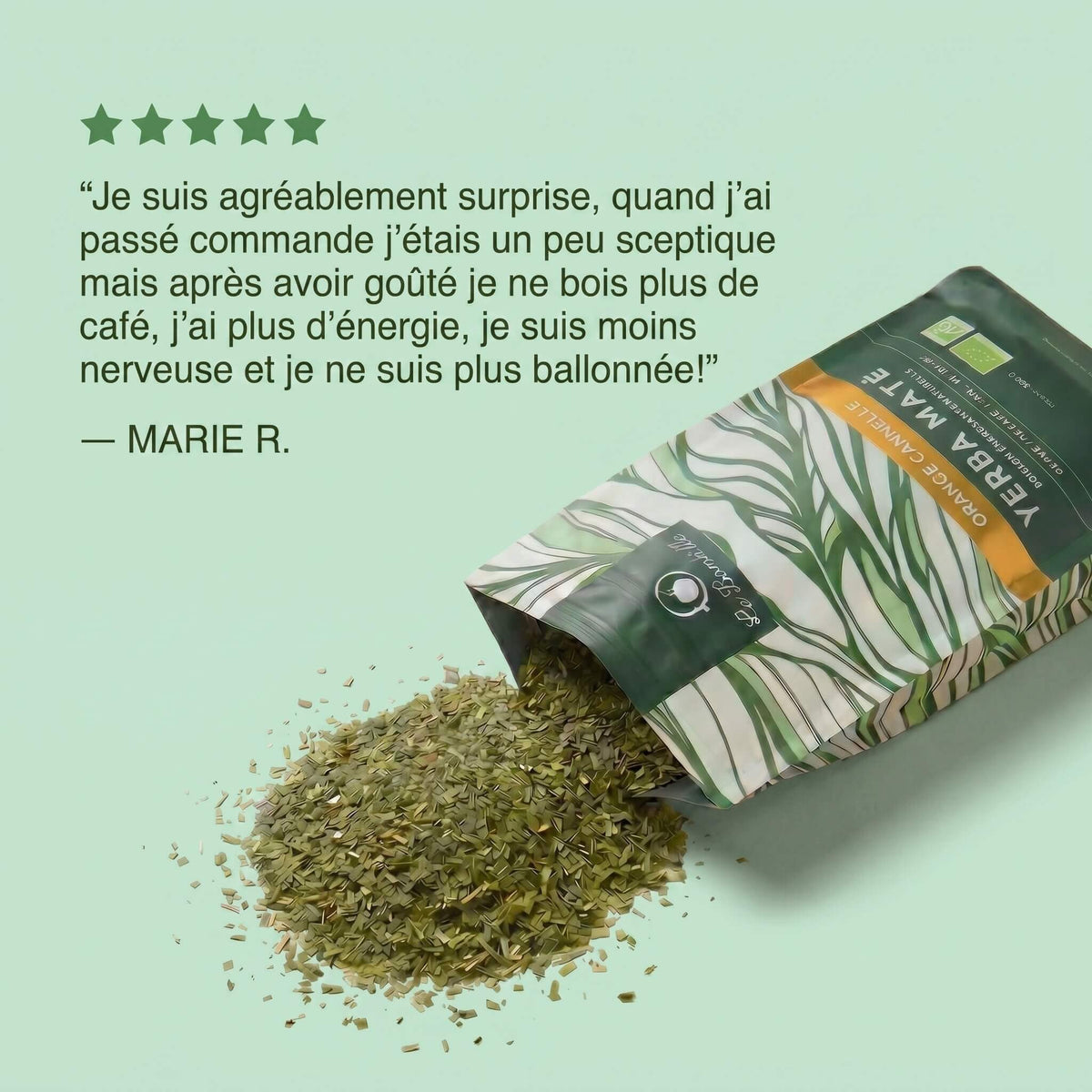 Maté Orange Cannelle Bio